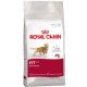 ROYAL CANIN GATOS