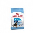 ROYAL CANIN MAXI JUNIOR 15 kg