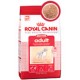 ROYAL CANIN MEDIUM ADULTO 15 KG